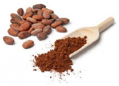 کاکائو موجب تقویت فرایند شناخت مغز در افراد بزرگسال سالم می گردد