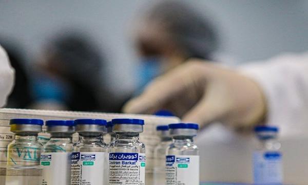 تحویل 4 میلیون د ُز واکسن برکت به وزارت بهداشت تا سرانجام شهریور