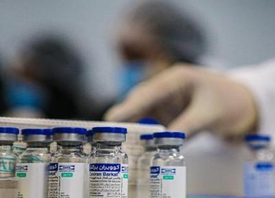 تحویل 4 میلیون د ُز واکسن برکت به وزارت بهداشت تا سرانجام شهریور